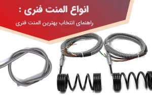 انواع المنت فنری