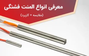 انواع المنت فشنگی